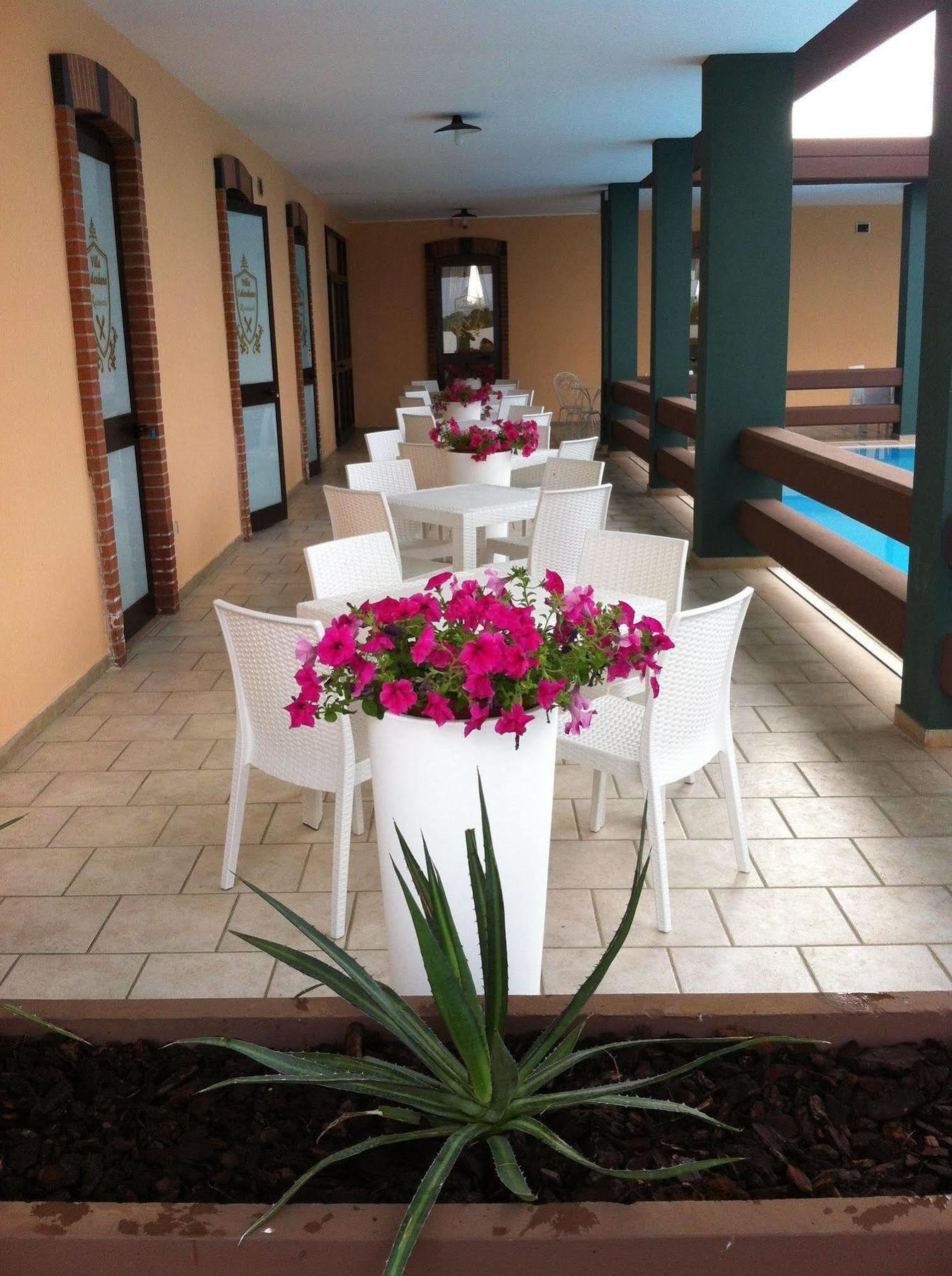 B&B Villa Calendano Corato Exterior foto
